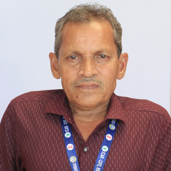 Mr. J. K. Makwana